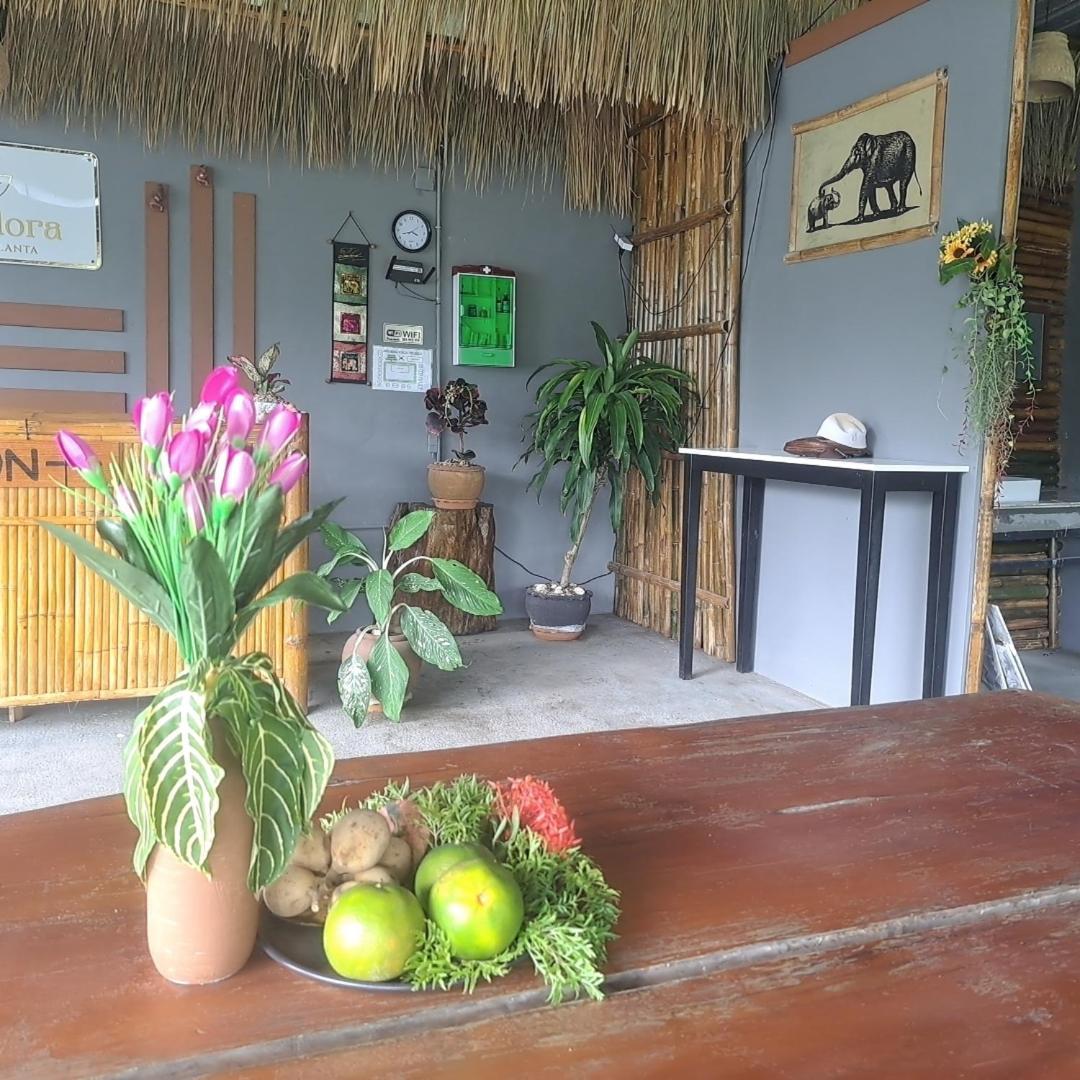 Siam Flora Resort Ko Lanta Zewnętrze zdjęcie