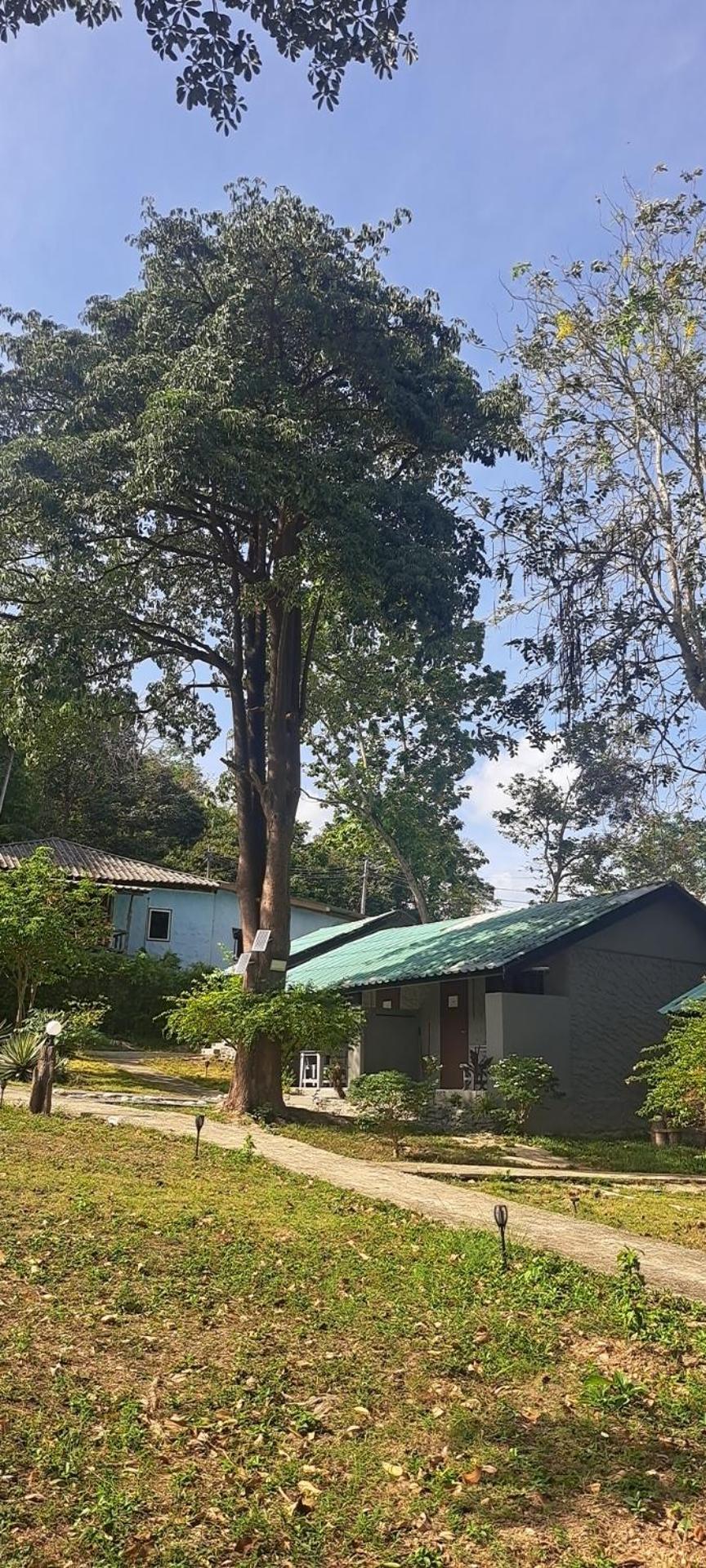 Siam Flora Resort Ko Lanta Zewnętrze zdjęcie